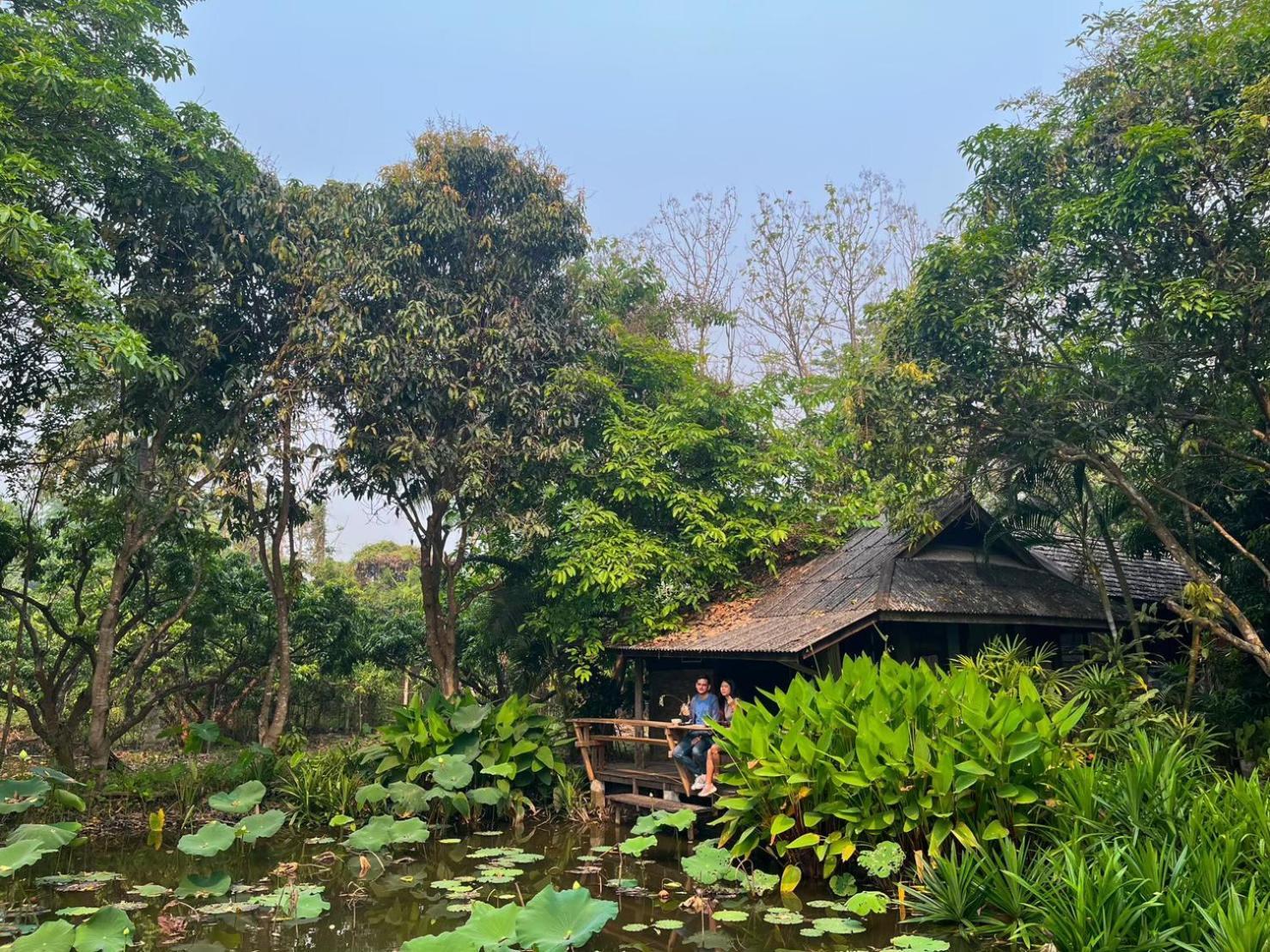צ'ום טונג Tongluang Inthanon Homestay โต้งหลวงอินทนนท์โฮมสเตย์ מראה חיצוני תמונה